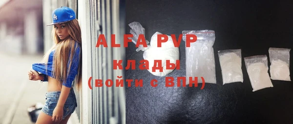 трава Корсаков