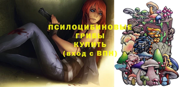 спиды Костерёво