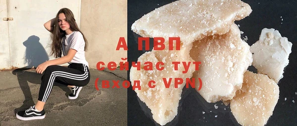 трава Корсаков