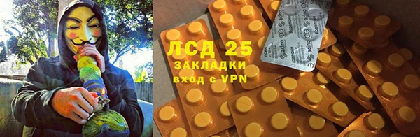 трава Корсаков