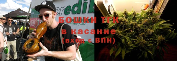 трава Корсаков