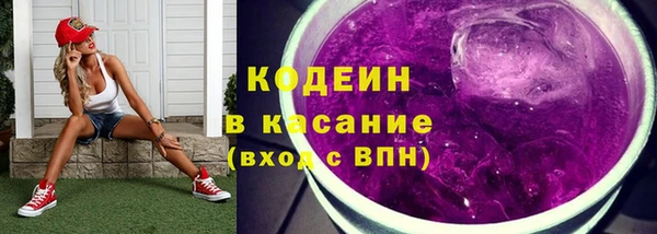 трава Корсаков