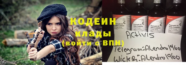 трава Корсаков